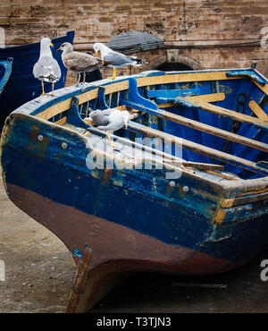 Blu in legno vecchia barca da pesca con i gabbiani di close-up nel porto di Essaouira, Marocco Foto Stock