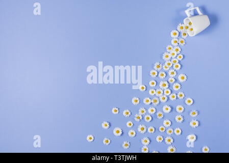 Layout creativo fatto di caffè o tè con fiori di colore bianco su sfondo viola. Chamomiles versare fuori dalla coppa. Primavera, estate concetto. Piatto, laici top v Foto Stock