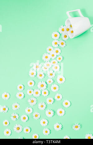 Layout creativo fatto di caffè o tè con fiori di colore bianco su sfondo verde. Chamomiles versare fuori dalla coppa. Primavera, estate concetto. Piatto, laici vi superiore Foto Stock