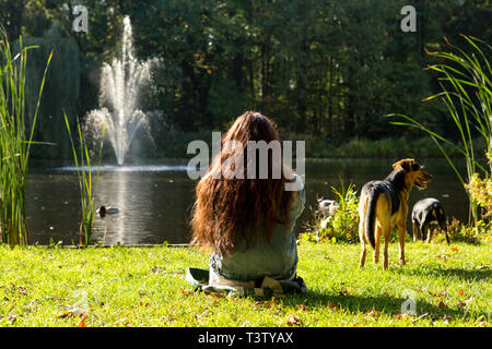 Una ragazza rilassante nell'erba sul lato di un laghetto con 2 cani nei Paesi Bassi. Foto Stock