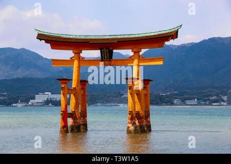 Il famoso floating Torii gate (O-Torii) sull'isola di Miyajima, Giappone. Foto Stock