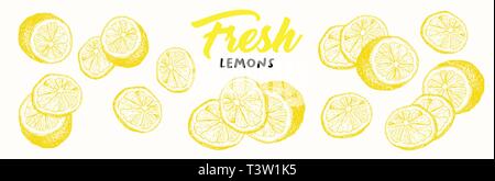 Limoni freschi illustrazione vettoriale. La calligrafia manoscritta, scritte. Schizzo frutti clipart. Limoni a fettine incisione disegno di stile. Isolato giallo colore di agrumi gli elementi di design. Shop segno, logo del negozio Illustrazione Vettoriale