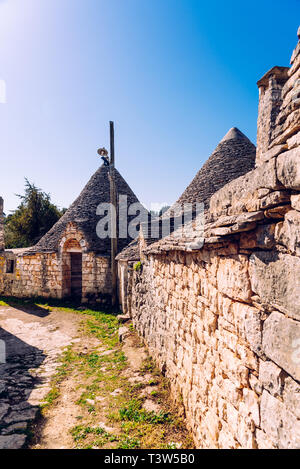 Piastrelle di pietra la copertura dei tetti dei trulli di Alberobello, una città italiana a visitare in un viaggio in Italia. Foto Stock