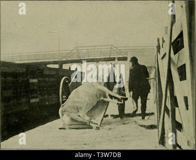 "Storia illustrata dell'Unione Stockyards; sketch-book di volti familiari e mette a cantieri" (1901) Foto Stock