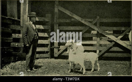 "Storia illustrata dell'Unione Stockyards; sketch-book di volti familiari e mette a cantieri" (1901) Foto Stock