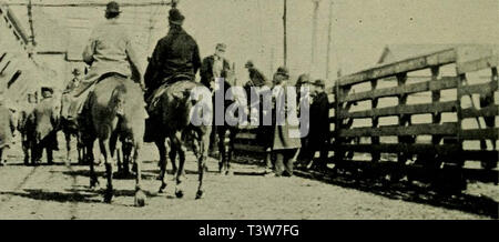 "Storia illustrata dell'Unione Stockyards; sketch-book di volti familiari e mette a cantieri" (1901) Foto Stock