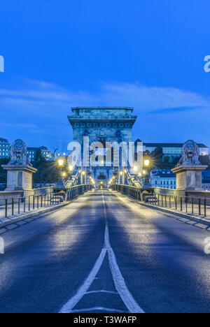 Lion statue e illuminato lampioni lungo il ponte della Catena, Budapest, Ungheria Foto Stock