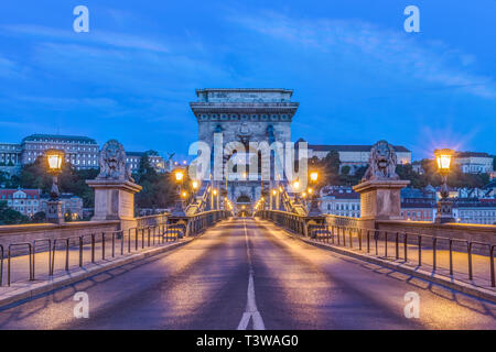 Lion statue e illuminato lampioni lungo il ponte della Catena, Budapest, Ungheria Foto Stock