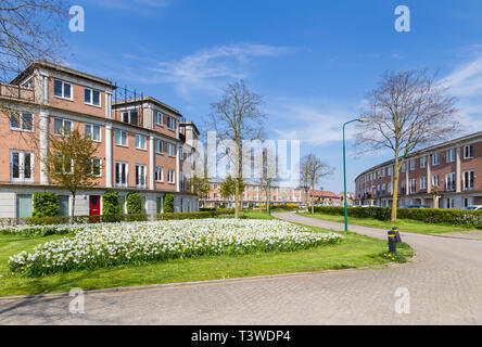 Fila di case moderne costruire in un cerchio in una famiglia accogliente zona suburbana di Houten nei Paesi Bassi. Foto Stock