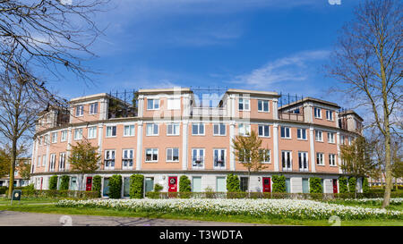 Fila di case moderne costruire in un cerchio in una famiglia accogliente zona suburbana di Houten nei Paesi Bassi. Foto Stock