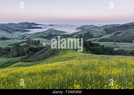 Paesaggio di rotolamento visto dalla collina erbosa Foto Stock