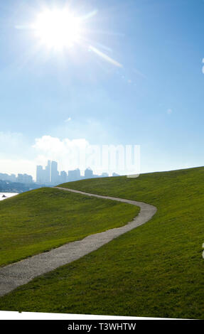 Sole che splende su strada asfaltata sul pendio erboso, Seattle, Washington, Stati Uniti Foto Stock