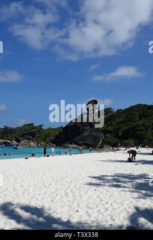 Paperino sulla spiaggia immagini e fotografie stock ad alta risoluzione -  Alamy