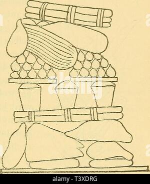 Immagine di archivio da pagina 198 di Die Pflanzen im alten Aegypten ha Foto Stock