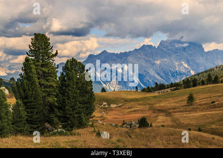 Una vista dal Passo Falzarego, una alta altitudine strada passo che collega la Val Badia a Cortina d'Ampezzo nelle Dolomiti, Italia. Le praterie a passare con Foto Stock