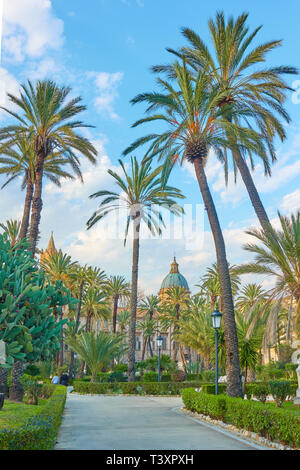Palms nella Villa Bonanno giardino pubblico di Palermo, Sicilia, Italia Foto Stock