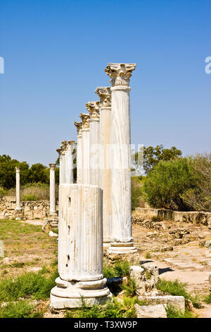 Rovine romane della città di Salamina, vicino a Famagosta, la parte settentrionale di Cipro Foto Stock