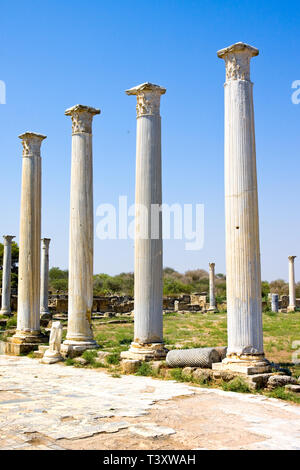 Rovine romane della città di Salamina, vicino a Famagosta, la parte settentrionale di Cipro Foto Stock