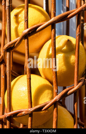 Primo piano di limoni nel cestello pendenti Foto Stock