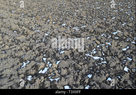 La fusione della neve sul terreno arato. Vista la molla del campo arato. Foto Stock