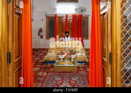 La religione sikh uomo santo nel Tempio d'oro di Amritsar (Sri Harmandir Sahib, Darbar Sahib), il più sacro luogo di pellegrinaggio del sikhismo, Amritsar Punjab, India Foto Stock