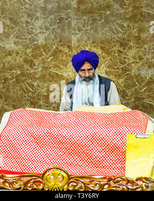 Persone di mezza età devoto Sikh uomo con una lunga fluente barba bianca che indossa un turbante blu e occhiali, Tempio d'oro di Amritsar, Amritsar Punjab, India Foto Stock