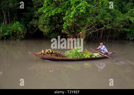 Un agricoltore righe una barca piena di verdure sul suo modo di Boithkata mercato galleggiante a Najirpur in Pirojpur, Bangladesh. Foto Stock