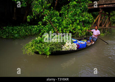 Un agricoltore righe una barca piena di verdure sul suo modo di Boithkata mercato galleggiante a Najirpur in Pirojpur, Bangladesh. Foto Stock