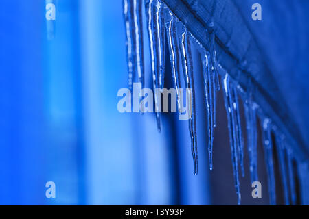 Icicle sospesi durante il periodo primaverile. Ghiaccioli di fusione con texture di cristallo su sfondo d'inverno. Gocce d'acqua che cadono dalle stalattiti in giornata del sole Foto Stock