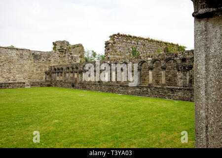 Abbazia di Jerpoint, una rovina abbazia cistercense, fondata nella seconda metà del XII secolo, situato nei pressi di Thomastown, nella Contea di Kilkenny, Irlanda. Foto Stock