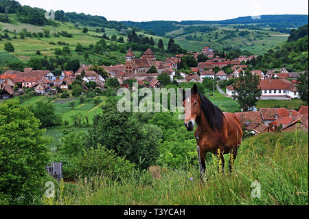 Il villaggio Valea Viilor, Romania, fondata dalla Transilvania sassoni Foto Stock