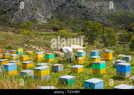 Multi-colore di alveare di scatole con apicoltore, su una collina che si affaccia sul mare, Nafplion, Grecia Foto Stock