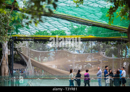 Una scala di 250m rimbalza net, il suo punto più alto sarà sospeso al di sopra del suolo, offrirà ai visitatori un esperienza unica al gioiello Changi Airport. Foto Stock