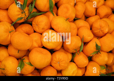 Arancione display di frutta al mercato degli agricoltori Foto Stock