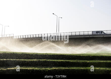 Sprinkler attiva su erba, dall'autostrada Foto Stock