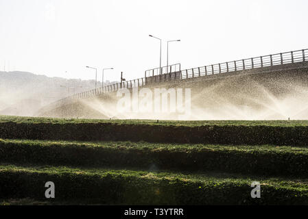 Sprinkler attiva su erba, dall'autostrada Foto Stock