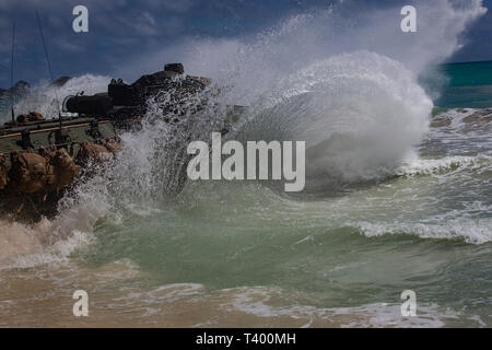 Un U.S. Marine Corps assalto anfibio veicolo assegnato al Combat Assault Company, 3d reggimento Marine, si scontra con le maree come si entra in acqua durante un assalto anfibio esercizio al Marine Corps Area Formazione soffietto, Marine Corps base Hawaii, Aprile 9, 2019. L'unità condotta una simulazione di Beach Assault per migliorare la loro letalità e cooperazione, come una unità meccanizzata e vigore nella prontezza. (U.S. Marine Corps foto di Sgt. Alex Kouns) Foto Stock