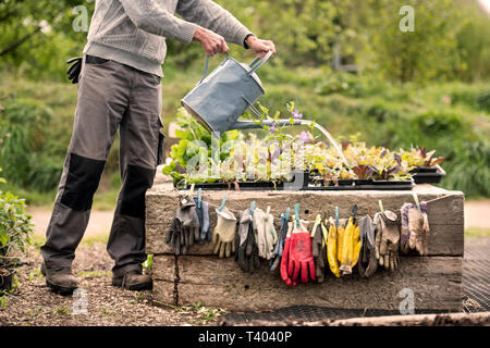Guanti da giardinaggio essiccamento a una comunità giardino a Bristol REGNO UNITO Foto Stock