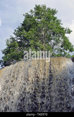 Jägala cade, Estonia. Jägala vízesés, Észtország. Foto Stock