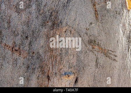 Un primo piano sparare al vecchio guscio in legno texture con forma interessante. foto può essere utilizzata per multiuso. Foto Stock