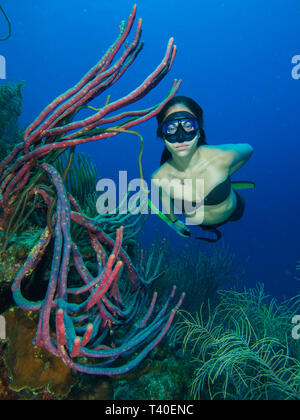 Iru Balic free diving los roques venezuela Foto Stock