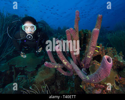 Donna subacquea subacqueo a los roques venezuela Foto Stock