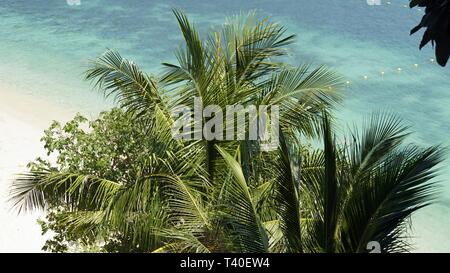 Spiaggia tropicale sul kok Mae Koh isola in Tailandia Foto Stock