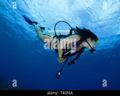 Donna subacquea subacqueo a los roques venezuela Foto Stock