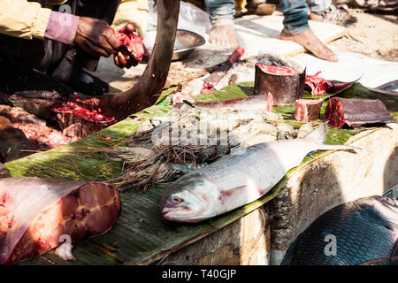 Patipukur tutta la vendita al mercato del pesce, Calcutta, West Bengal, India 10 gennaio 2019 - Taglio rosso pesce fresco in strada del mercato. Foto Stock