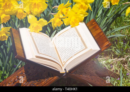 Libro sacro dei musulmani di tutto il mondo. Una pagina aperta del Corano Foto Stock