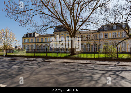 Bonn - Vista dal Meckenheimer alleato al castello Poppelsdorf, Renania settentrionale-Vestfalia, Germania, 01.04.2019 Foto Stock