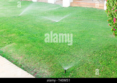 Doccia in giardino per irrigare il prato. Innaffiamento automatico prati concetto. Foto Stock