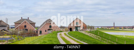 Fattoria olandese con un moderno aperto mucca stabile lungo gli argini del fiume Reno con una vista su Rhenen nei Paesi Bassi Foto Stock