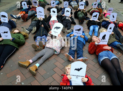 Gli studenti in attesa di foto in pericolo di estinzione e animali estinti che prendono parte a uno sciopero per il cambiamento climatico in Canterbury Kent, parte dell'YouthStrike4clima come movimento di protesta sono previste nelle città e in alcune città del Regno Unito. Foto Stock